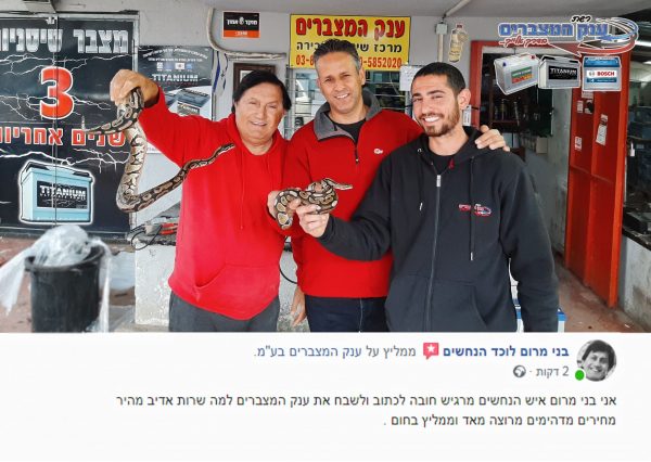 בני איש הנחשים - ענק המצברים שירות מצברים לרכב